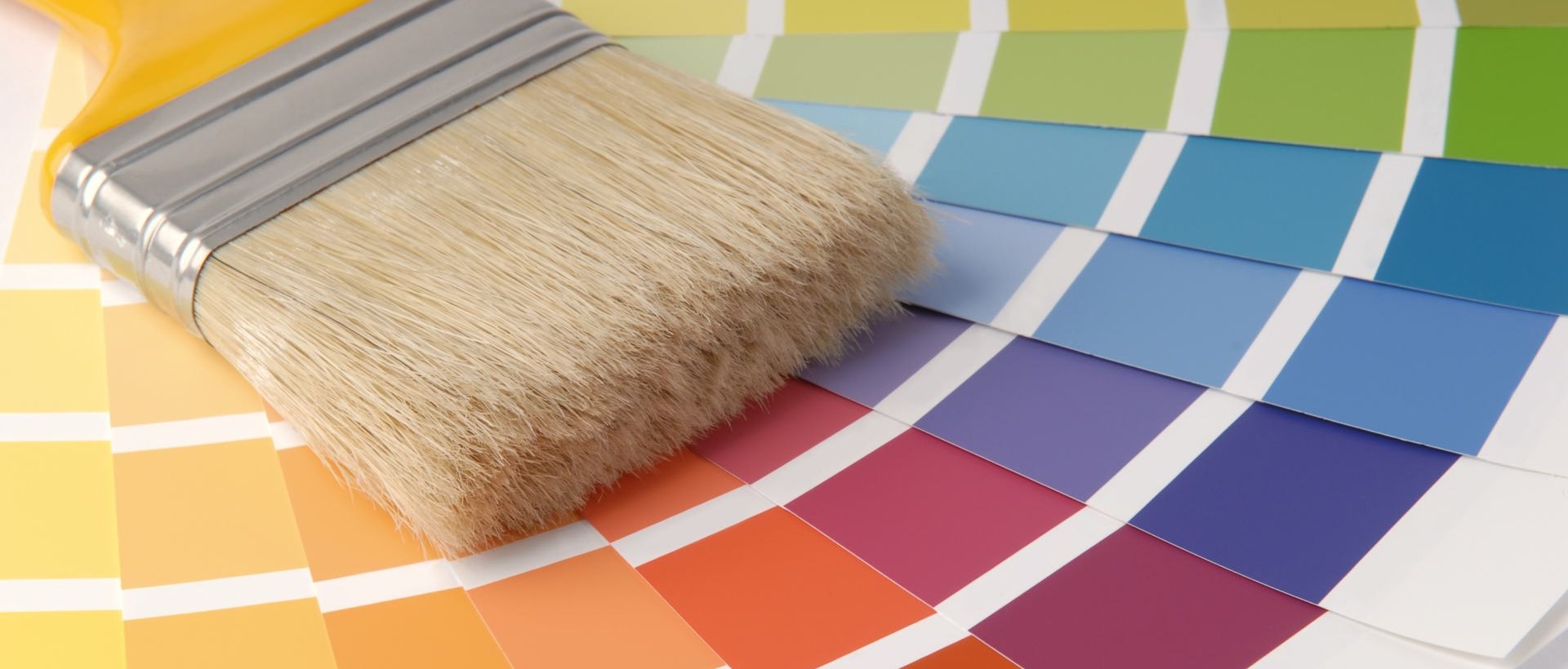 Painter N6